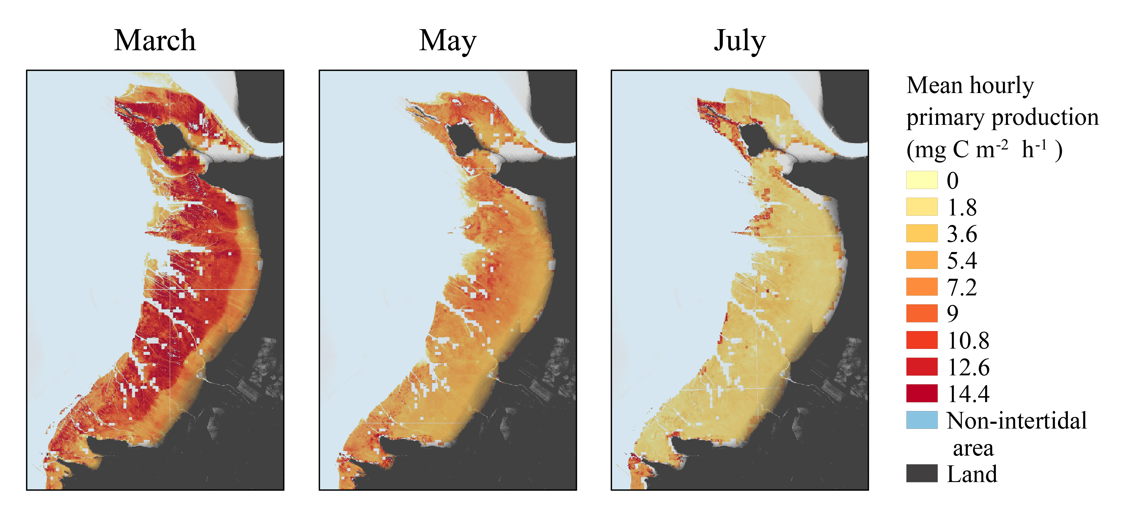 Hourly-averaged benthic microalgae gross primary production estimated from the GPP‑algorithm